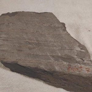 May include: A gray, layered rock sample with visible sedimentary strata. The rock has a rough, uneven surface and appears to be a natural stone. Red markings are visible on the rock's surface. The rock is set against a white background.