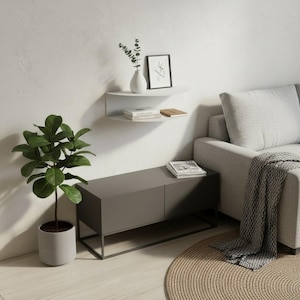 May include: A modern living room scene featuring a gray cabinet with a black metal frame, a white wall-mounted shelf, and a gray sofa. A potted plant with large green leaves and a round woven rug add natural elements to the space.