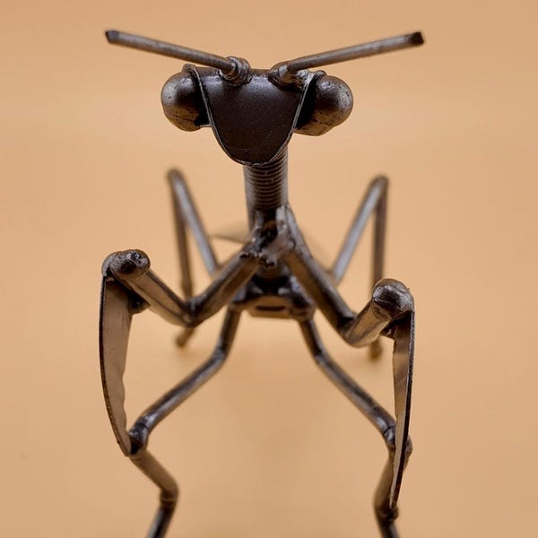 Metal Bug - Etsy