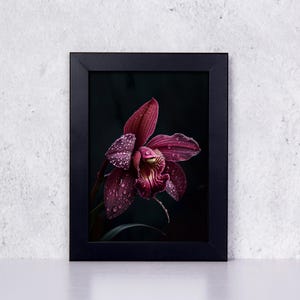 Orchid Print Gift for Plant Lover Botanical Artwork Purple Orchid Plant Moody Art Hyper Realistic Art Elegant Home Decor Nature Lover Gift