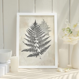 Fern Illustration Minimalist Botanical Art Gift for Plant Lover Fern Leaf Wall Art for Living Room Vintage Botanical Print Gift for Botanist