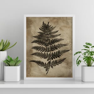Fern Illustration Minimalist Botanical Art Gift for Plant Lover Fern Leaf Wall Art for Living Room Vintage Botanical Print Gift for Botanist