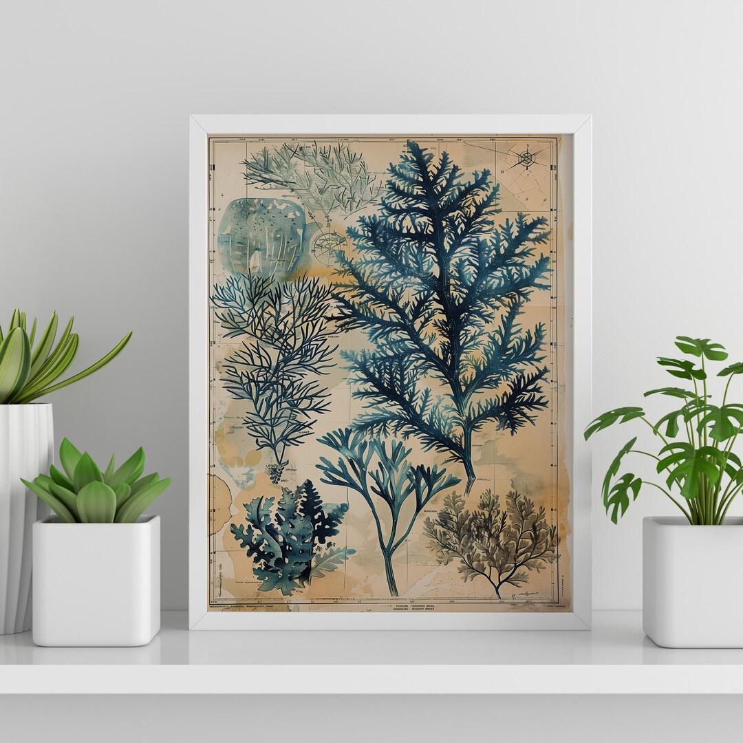 View of Seaweed Art for Aquatic Home Decor Ocean-inspired Wall Art for Vintage ...