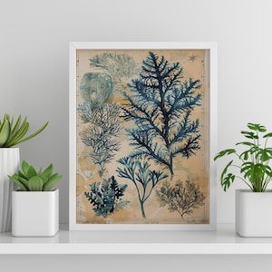 Arte de algas para decoración acuática del hogar Arte de pared inspirado en el océano para decoración oceánica vintage Obra de arte azul y verde Arte de vida marina Regalo para amantes del océano