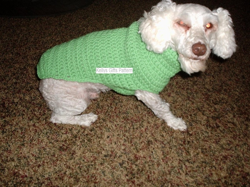 Crochet, Dog Sweater-coat beginners Pattern, free shipping. image 3