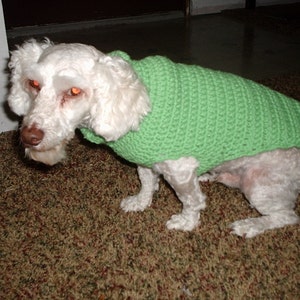 Crochet, Dog Sweater-coat beginners Pattern, free shipping. image 2