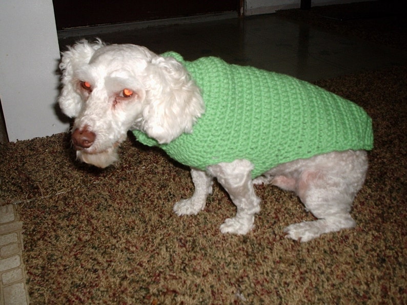 Crochet, Dog Sweater-coat beginners Pattern, free shipping. image 2