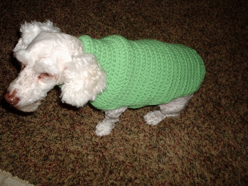 Crochet, Dog Sweater-coat beginners Pattern, free shipping. image 4