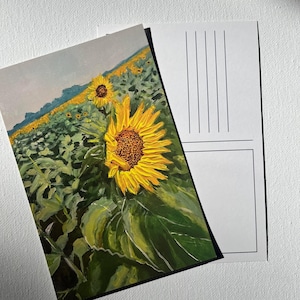 Sunflower Postcard