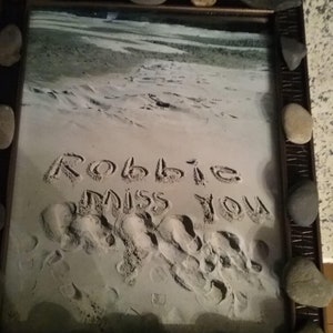 Digital eBook &quot;Robbie&quot; by Joyce Amen