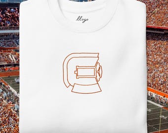 austin - stadium sweatshirt - texas - longhorns - dkr - football