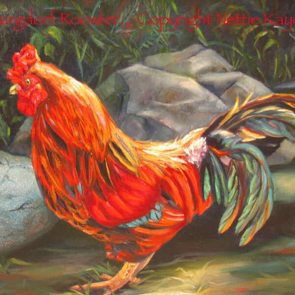 ROOSTER PAINTING SALE Original 16 x 20  Oil on canvas