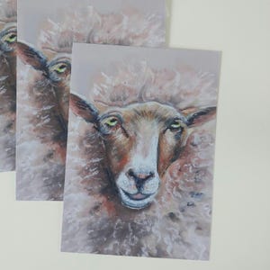 Kunstpostkarten-Set / Schaf – Tiermotiv Postkarte A6 / Reproduktion Neopastelgemälde / Kunstdruck Karte mit Umschlag / Geschenkidee