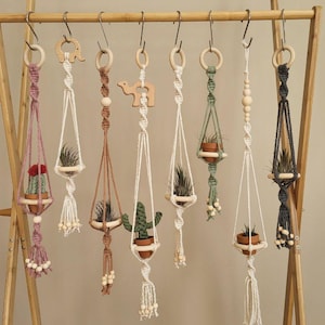 Macrame Air Plant Hanger