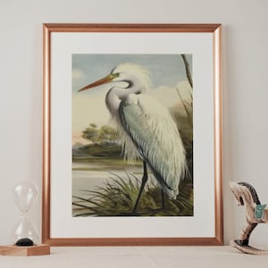 Bird Print,Heron Poster,Beach Cottage Decor Seabird Print,Heron Wall Art,Bird Poster,Vintage Print,Home decor Housewarming Gift