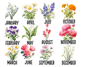 Geboortemaand bloem clipart, bloemen png-bundel (digitale download)