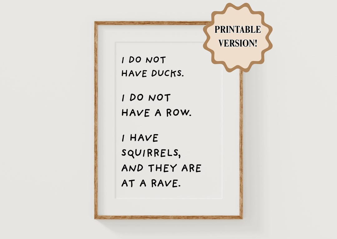 PRINTABLE Funny Squirrel Rave Poster | I Do Not Have Ducks, I Do Not ...