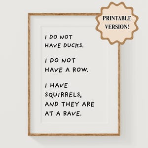 PRINTABLE Funny Squirrel Rave Poster | I Do Not Have Ducks, I Do Not Have a Row | Fun Room Decor | Digital Download
