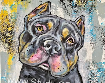 16x20 original American Bully