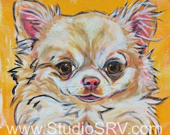 Long Coat tan Chihuahua Print