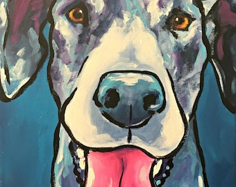 Merle great dane