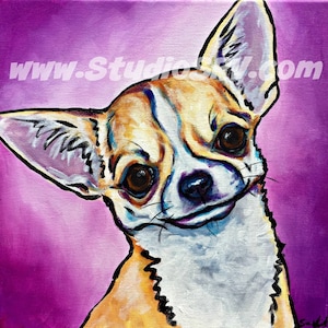 12x12 Fawn Chihuahua  print