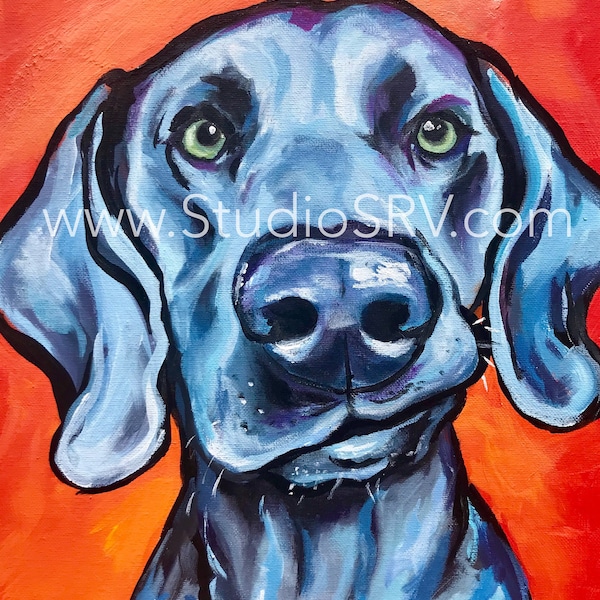 Impresión artística de perro Weimaraner, retrato colorido de mascota