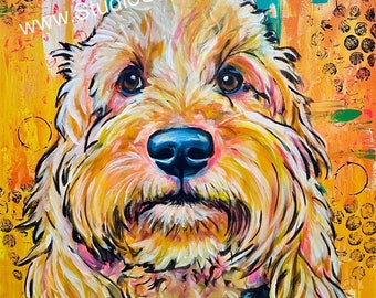 Cockapoo mini golden doodle print