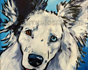 Border Collie print 11x14