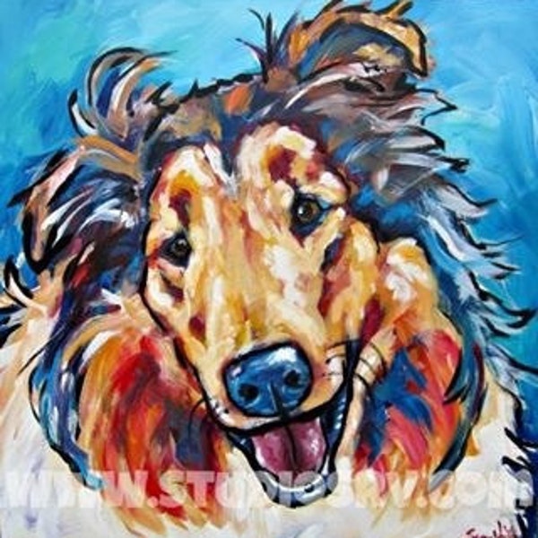 Rough collie