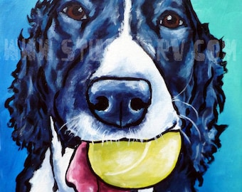 Springer Spaniel PRINT