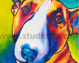 12x12 Colored Bull Terrier print