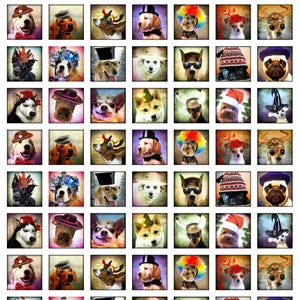Funny Images Of Dogs Collage Sheet-Digital Download