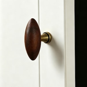 May include: A dark brown, oval-shaped wooden cabinet knob with a brass base, mounted on a white door. The cabinet hardware is a classic design. The knob's dimensions are approximately 10 cm in length.