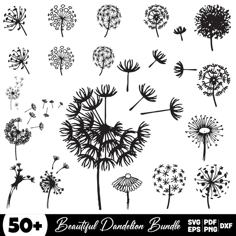 Dandelion Svg Bundle, Dandelion Clipart for Cricut, Dandelion Flower