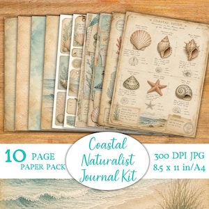 May include: A 10-page paper pack featuring a coastal naturalist journal kit. The pages have a vintage aesthetic with illustrations of seashells, starfish, and ocean scenes. The pack includes pages that measure 21.59 x 27.94 cm.
