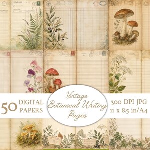 Peut inclure: Une collection de 50 papiers numériques présentant des pages d'écriture botaniques vintage avec des illustrations de fougères, d'olives, de champignons et de fleurs sauvages sur fond ligné. Le texte indique 50 DIGITAL PAPERS, Vintage Botanical Writing Pages, 300 DPI JPG, 11 x 8.5 in/A4.