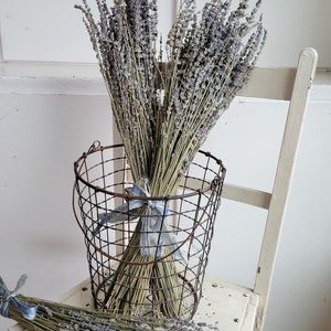 Dried Lavender Stems Bundle Dried Flowers Natural Decor Antique Farmhouse French Country Shabby Chic image 6