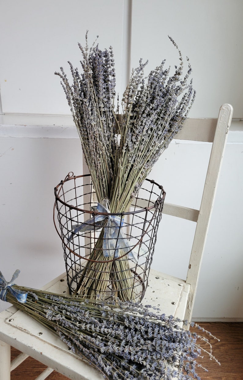 Dried Lavender Stems Bundle Dried Flowers Natural Decor Antique Farmhouse French Country Shabby Chic image 6