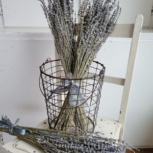 Dried Lavender Stems Bundle Dried Flowers Natural Decor Antique Farmhouse French Country Shabby Chic image 4