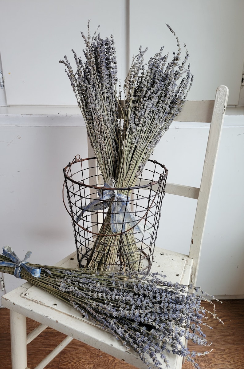 Dried Lavender Stems Bundle Dried Flowers Natural Decor Antique Farmhouse French Country Shabby Chic image 4