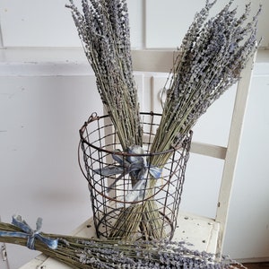 Dried Lavender Stems Bundle Dried Flowers Natural Decor Antique Farmhouse French Country Shabby Chic image 7