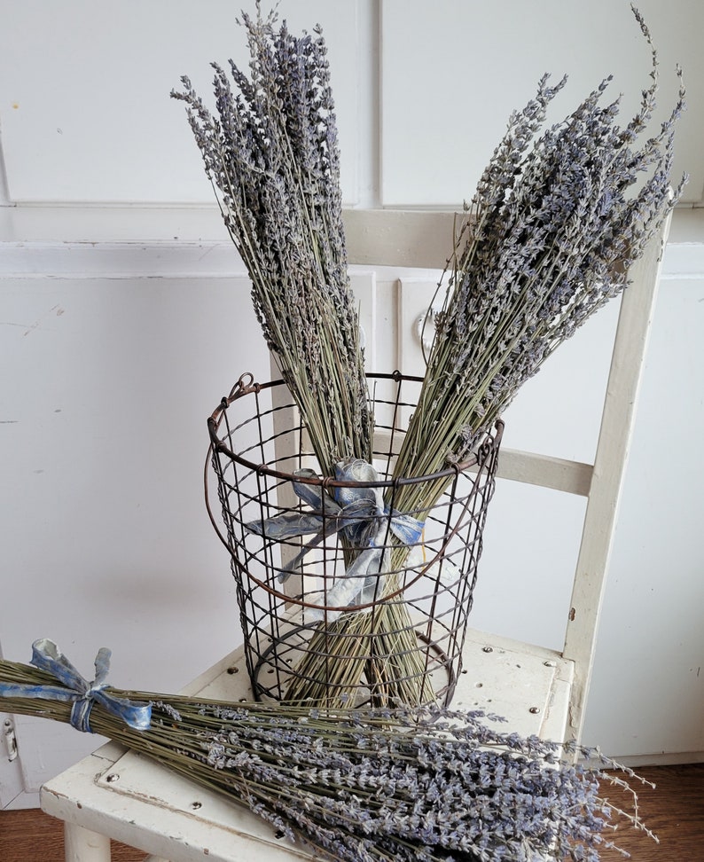 Dried Lavender Stems Bundle Dried Flowers Natural Decor Antique Farmhouse French Country Shabby Chic image 7