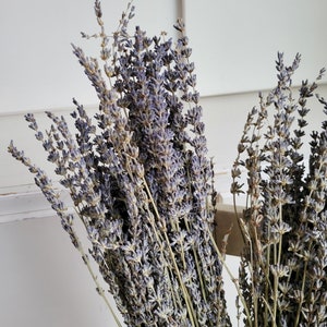 Dried Lavender Stems Bundle Dried Flowers Natural Decor Antique Farmhouse French Country Shabby Chic image 3