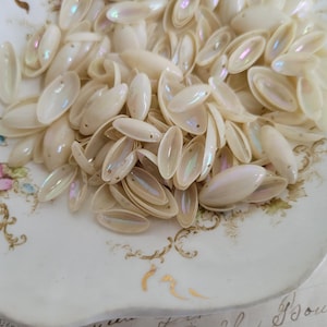May include: A collection of iridescent, oval-shaped beads in a creamy white hue, scattered on a decorative, floral-patterned plate. The beads have a subtle, shimmering quality, reflecting hints of pink, blue, and green. The plate has gold trim and floral accents.