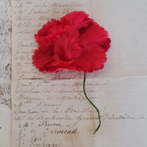 Puede incluir: Una sola flor de clavel roja con un tallo verde, descansando sobre un trozo de papel con texto escrito a mano en francés.