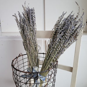 Dried Lavender Stems Bundle Dried Flowers Natural Decor Antique Farmhouse French Country Shabby Chic image 5