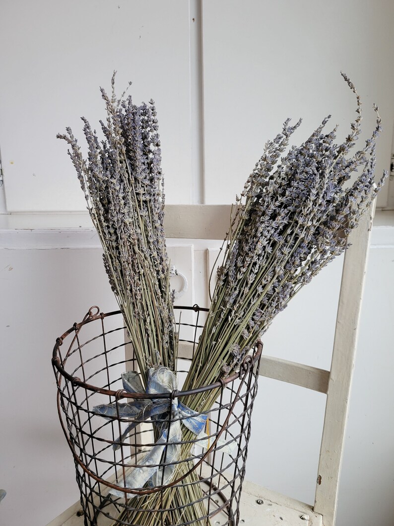 Dried Lavender Stems Bundle Dried Flowers Natural Decor Antique Farmhouse French Country Shabby Chic image 5