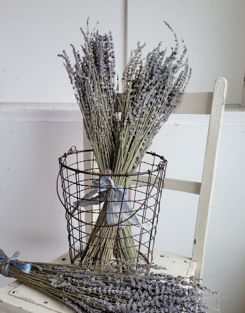 Dried Lavender Stems Bundle Dried Flowers Natural Decor Antique Farmhouse French Country Shabby Chic image 1