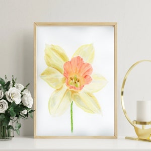 Fiore di narciso acquerello